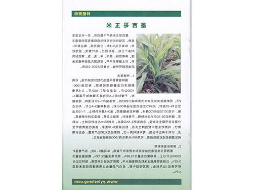 墨西哥玉米种植资料